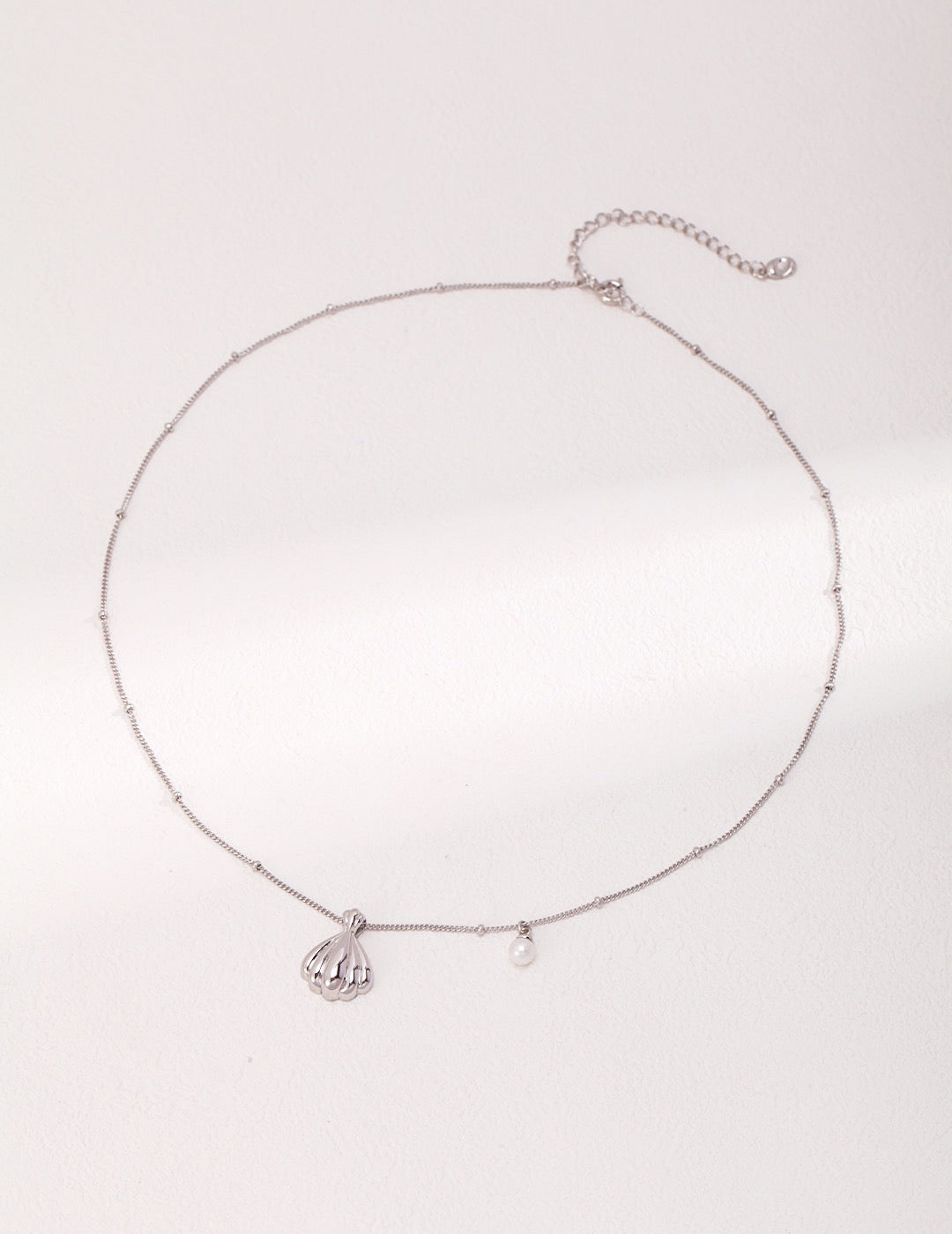 Scallop Shell Necklace