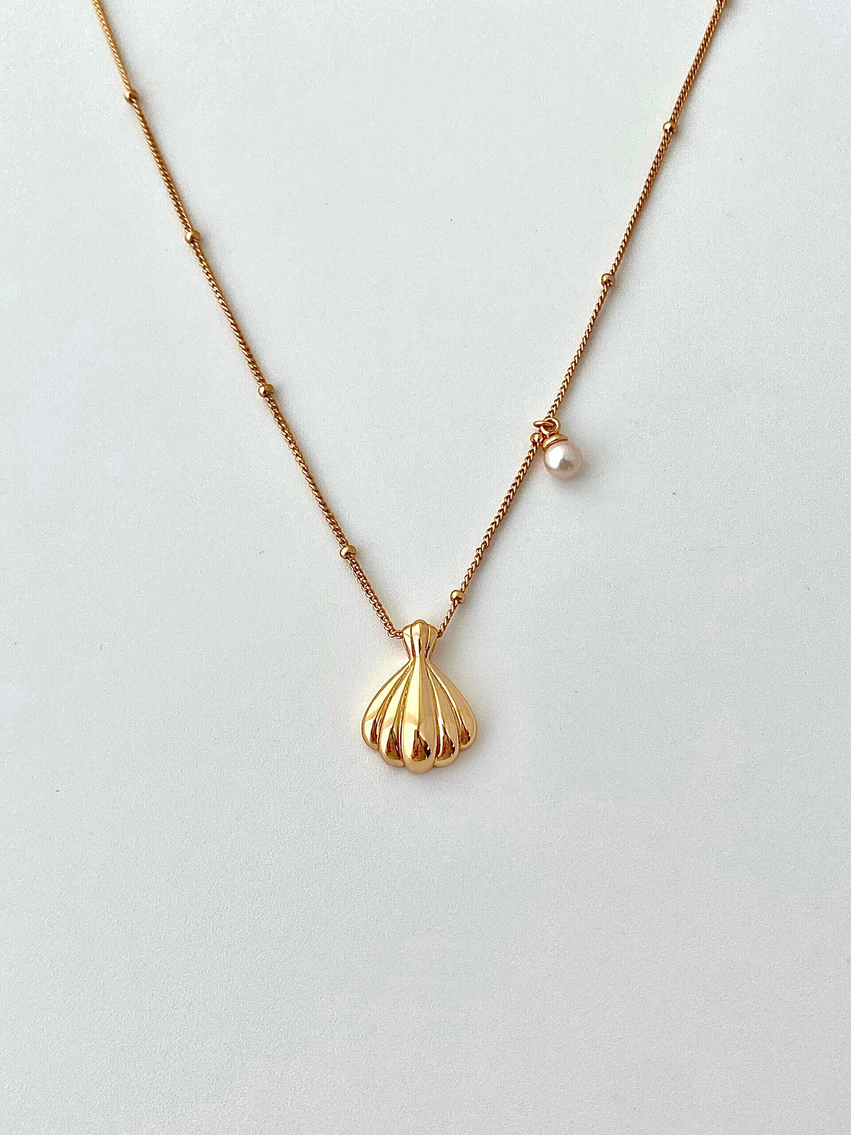 Scallop Shell Necklace