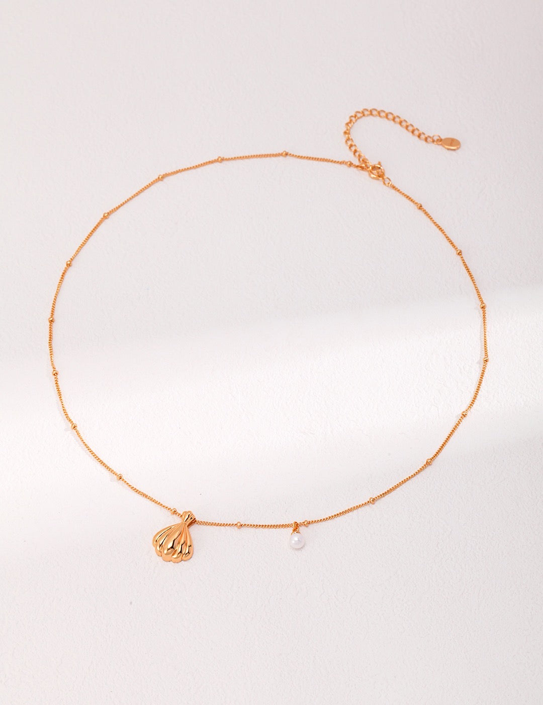 Scallop Shell Necklace